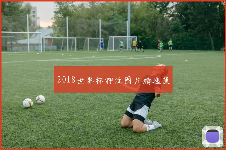 2018世界杯押注图片精选集